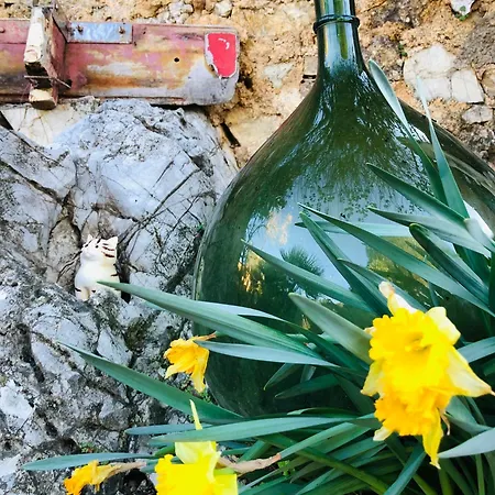 Il Borghetto Sul Golfo * Magazzini (Tuscany)