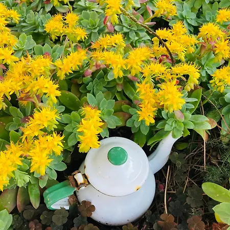 Appartement Il Borghetto Sul Golfo