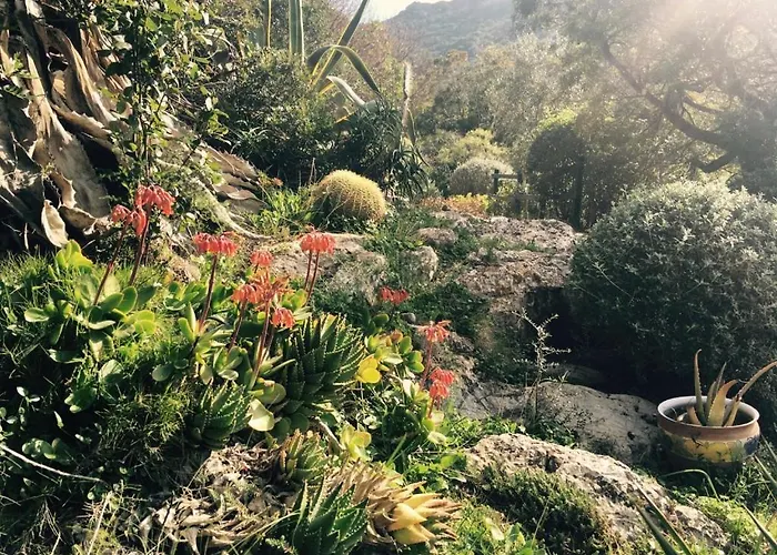 Il Borghetto Sul Golfo