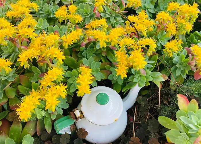 Appartement Il Borghetto Sul Golfo